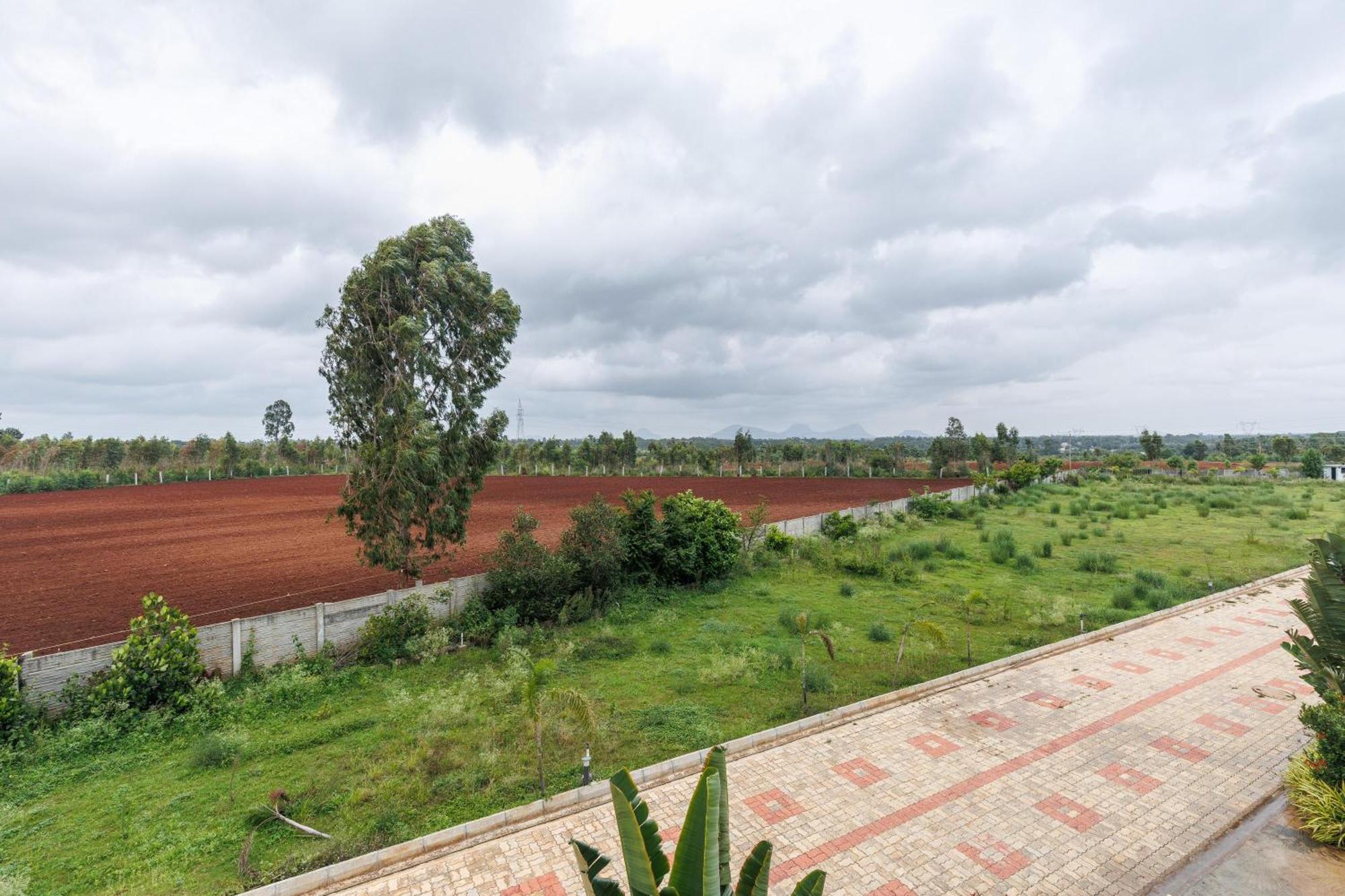 Celestial Sapphire Villa Pvt Pool Veg Food 4Bhk Dod Ballāpur Buitenkant foto